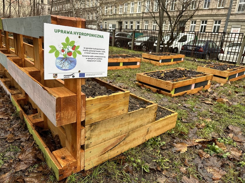 Ogródki warzywne we wrocławskich przedszkolach, które powstały w 2023 r. - projekt FOODSHIFT 2030