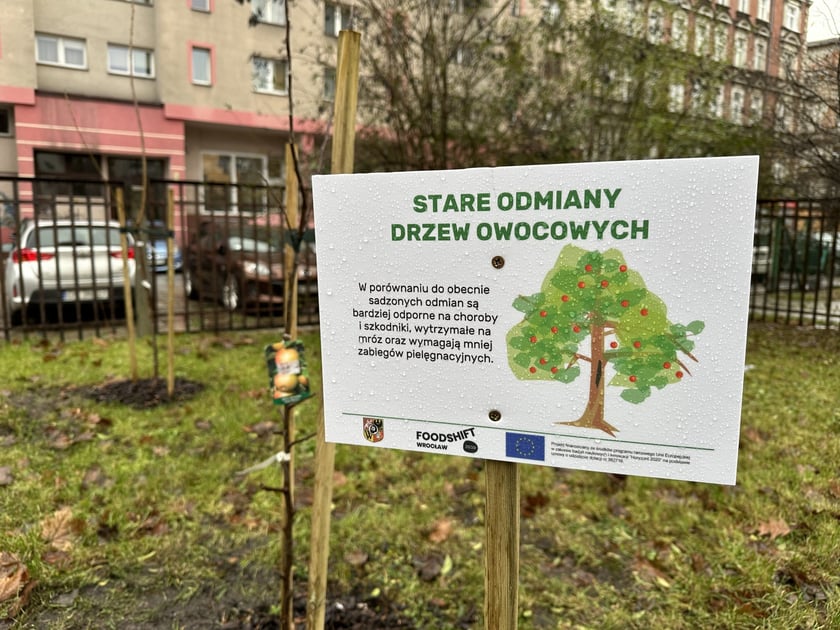 Ogródki warzywne we wrocławskich przedszkolach, które powstały w 2023 r. - projekt FOODSHIFT 2030