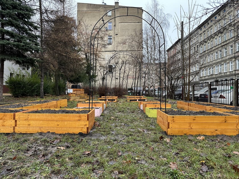 Ogródki warzywne we wrocławskich przedszkolach, które powstały w 2023 r. - projekt FOODSHIFT 2030