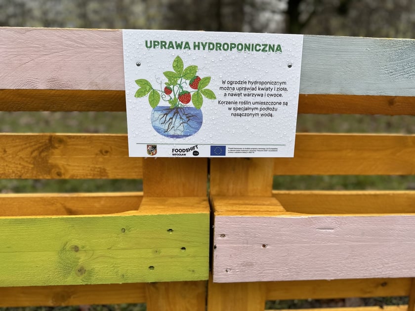 Ogródki warzywne we wrocławskich przedszkolach, które powstały w 2023 r. - projekt FOODSHIFT 2030