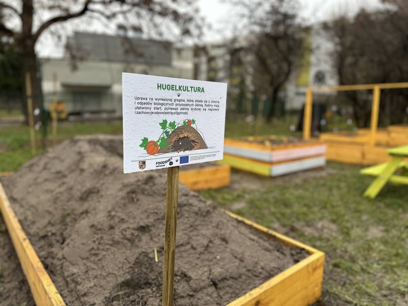 Ogródki warzywne we wrocławskich przedszkolach, które powstały w 2023 r. - projekt FOODSHIFT 2030