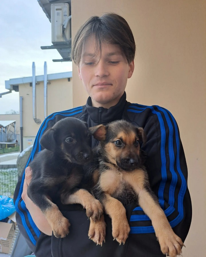 S odkie Szczeniaki Do Adopcji Z Wroc awskiego Schroniska Dla Zwierz t S odkie Szczeniaki Do Adopcji Z Wroc awskiego Schroniska Dla Zwierz t