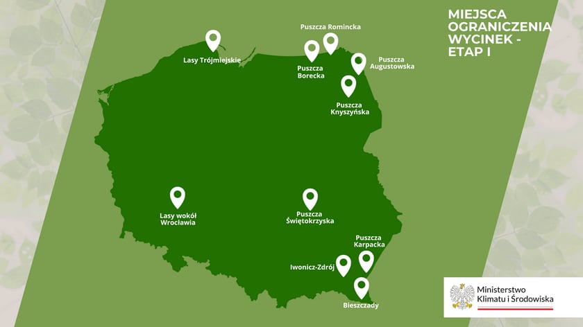 Mapa ograniczenia wycinek - etap I