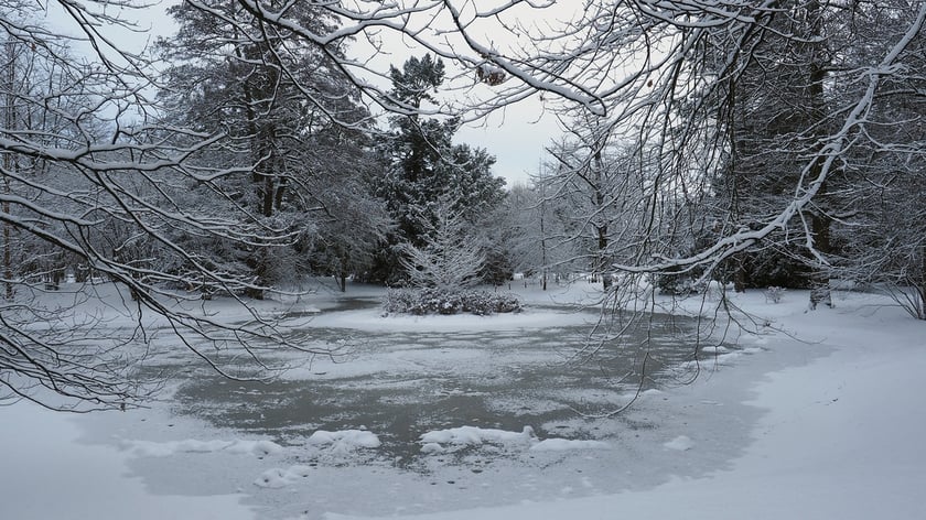 Park Szczytnicki zimą