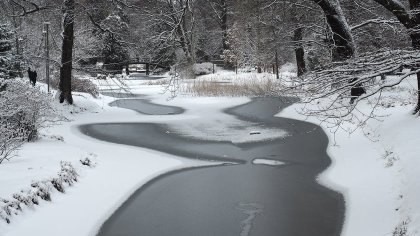 Park Szczytnicki zimą