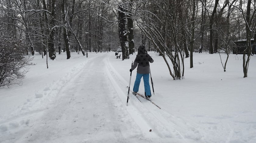 Park Szczytnicki zimą
