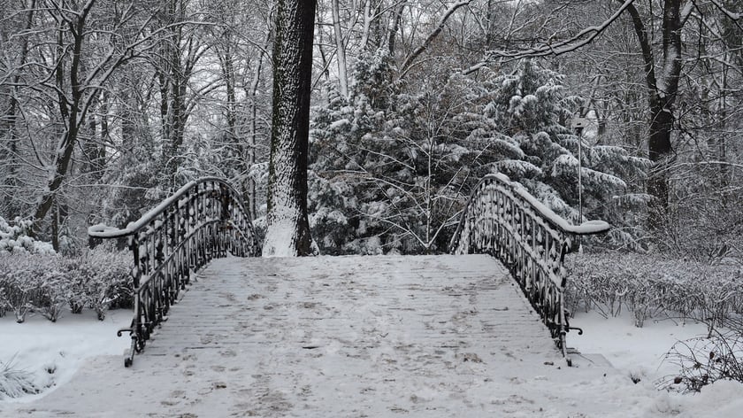 Park Szczytnicki zimą