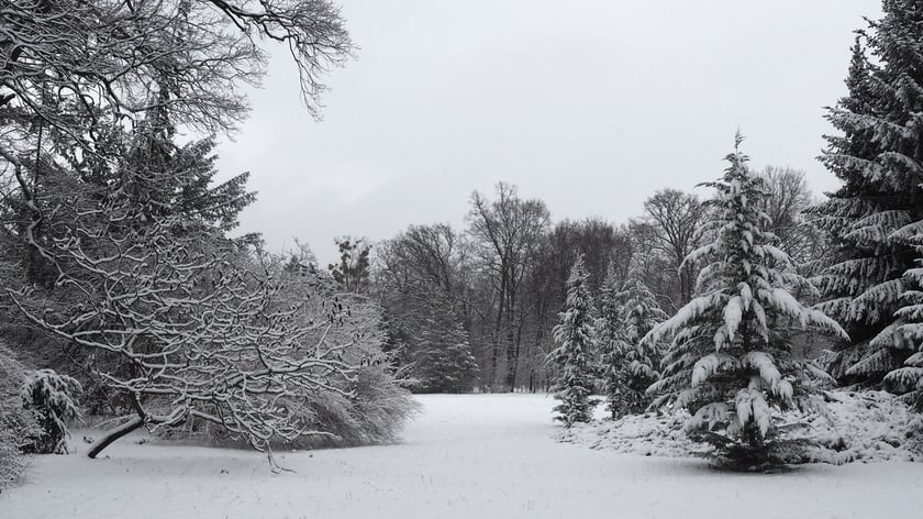 Park Szczytnicki zimą