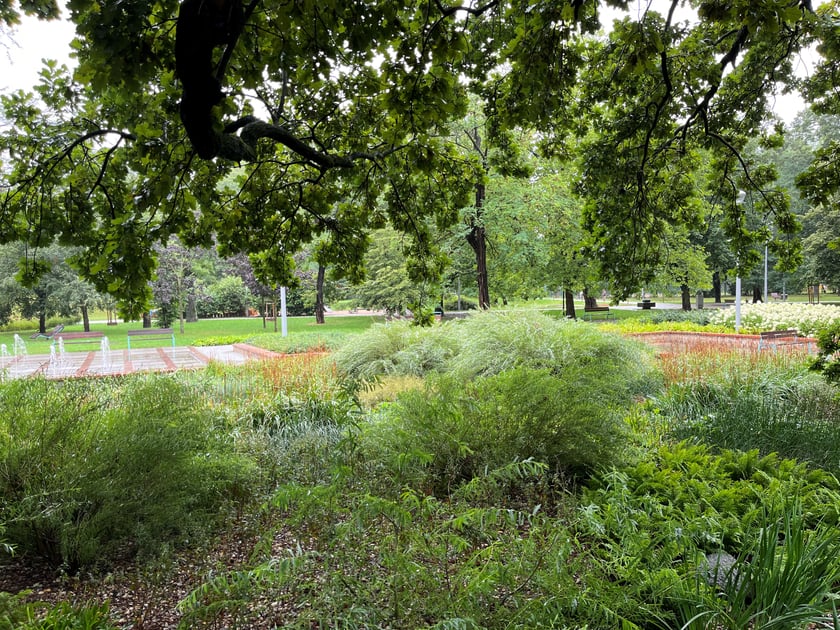 Koszt inwestycji: 3,9 mln zł
Park im. Lesława Węgrzynowskiego przy Kolejowej bardzo się zmienił. Odrestaurowany został zabytkowy ogr&oacute;d nieistniejącego już szpitala. Wiele z tych zmian wprowadzono dzięki opinii mieszkanek i mieszkańc&oacute;w. M.in. odnowiono nawierzchnię oraz ceglane murki, zagospodarowano zieleń oraz zamontowano nowy zdr&oacute;j wodny.
