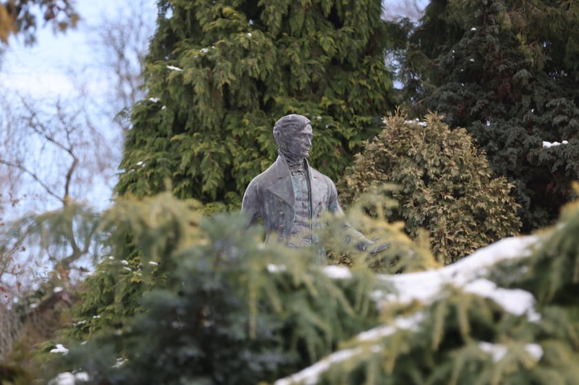 Zimowe spacery po wrocławskim Ogrodzie Botanicznym