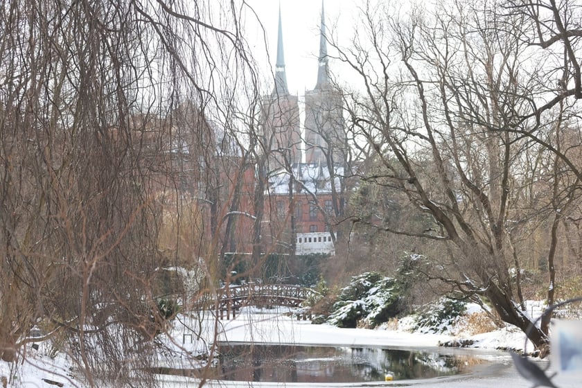 Zimowe spacery po wrocławskim Ogrodzie Botanicznym