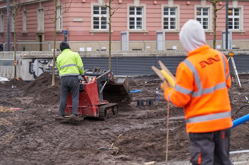 Sadzenie pierwszych drzew na placu Nowy Targ