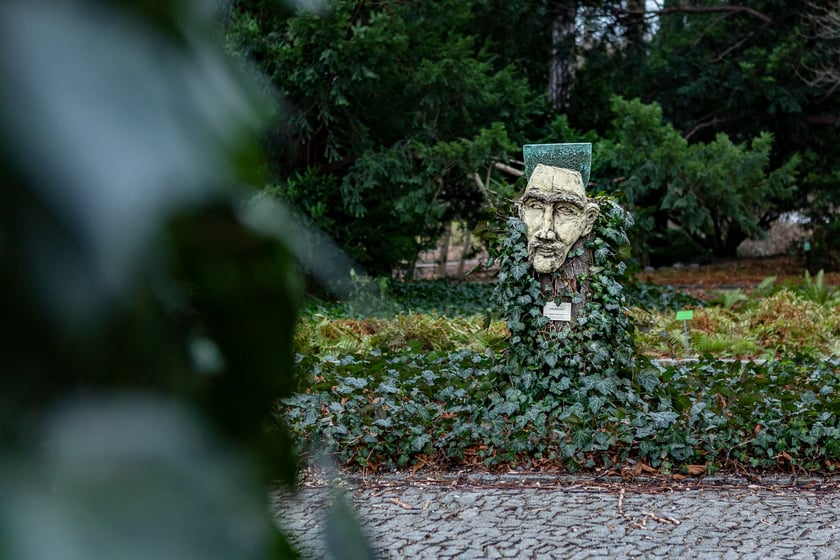 Ogród Botaniczny zimą
