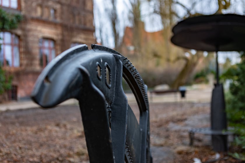 Ogród Botaniczny zimą
