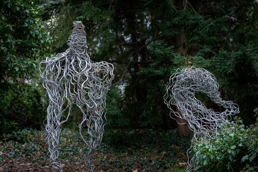 Ogród Botaniczny zimą