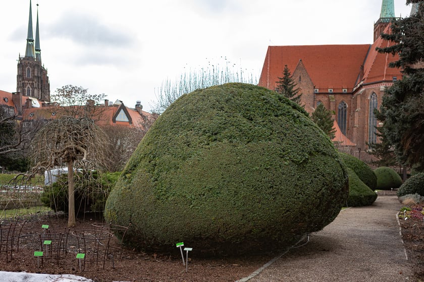 Ogród Botaniczny zimą