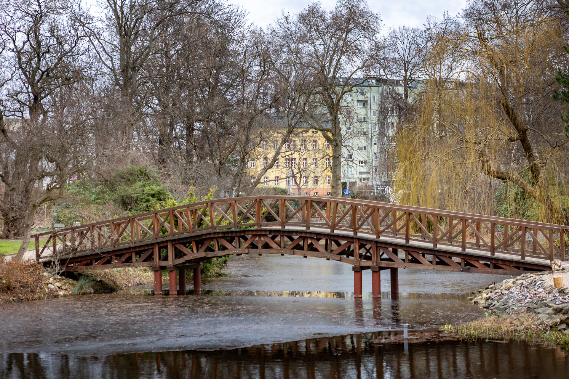 Ogród Botaniczny zimą