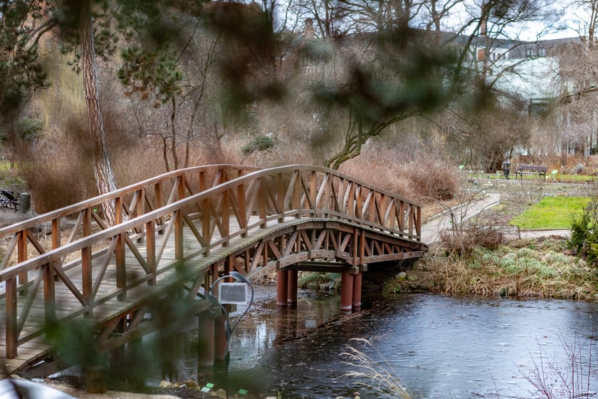 Ogród Botaniczny zimą