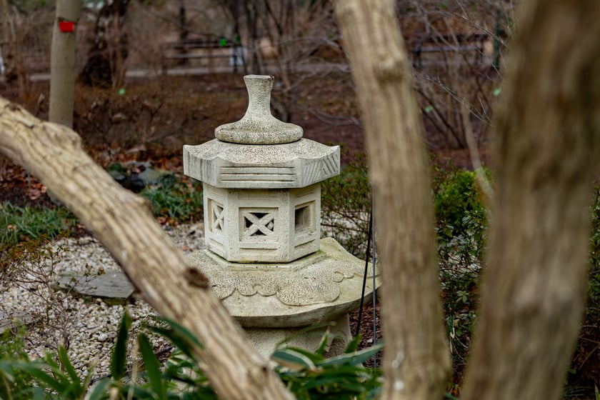 Ogród Botaniczny zimą