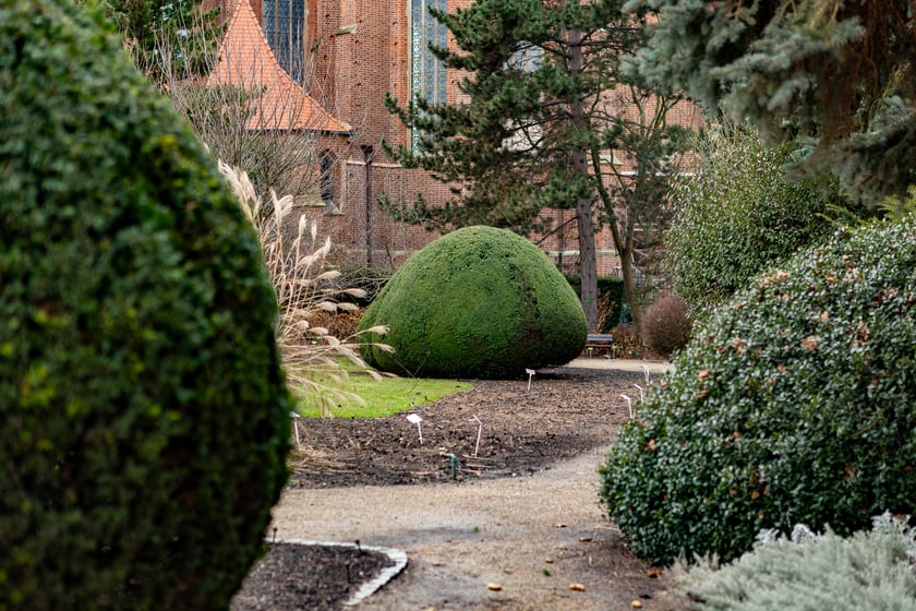 Ogród Botaniczny zimą