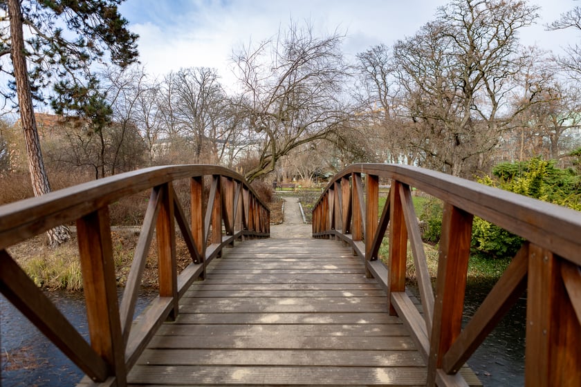 Ogród Botaniczny zimą