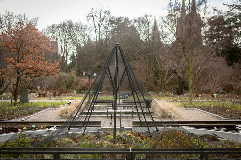 Ogród Botaniczny zimą