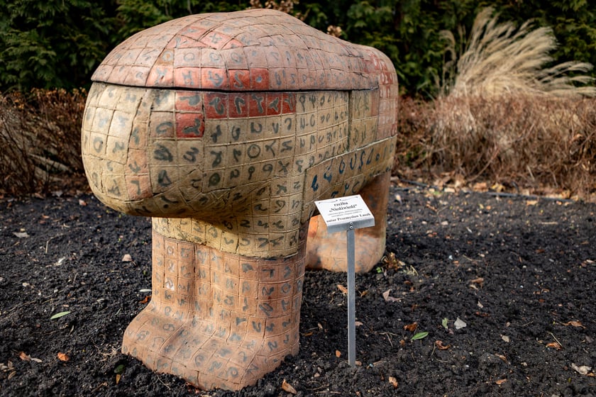 Ogród Botaniczny zimą