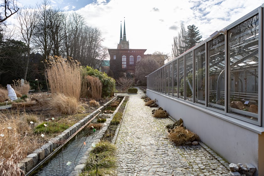 Ogród Botaniczny zimą