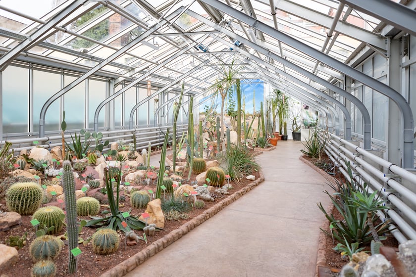 Ogród Botaniczny zimą