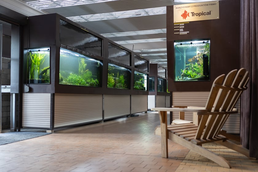 Ogród Botaniczny zimą