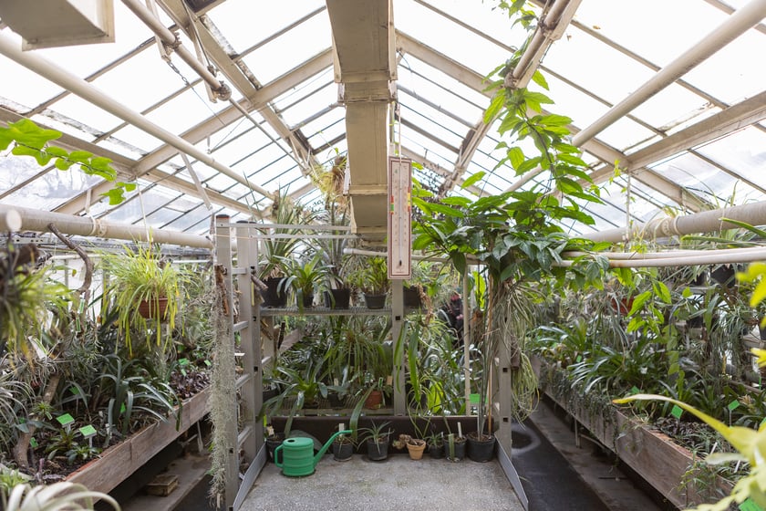 Ogród Botaniczny zimą