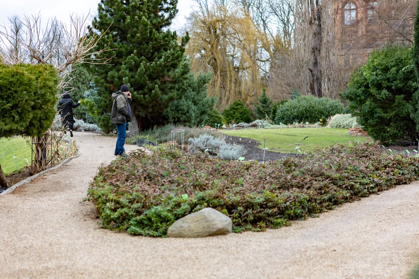 Ogród Botaniczny zimą