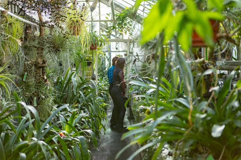 Ogród Botaniczny zimą