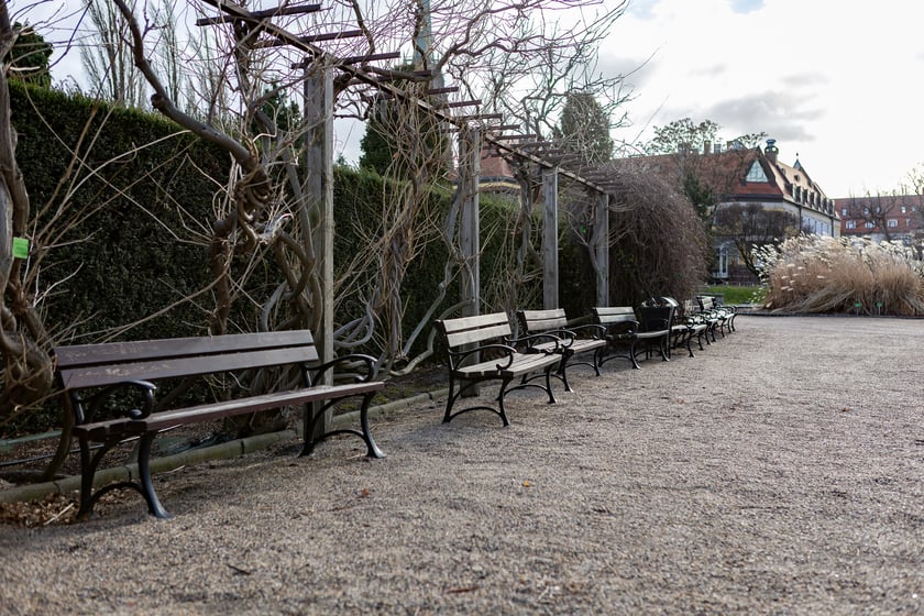 Ogród Botaniczny zimą