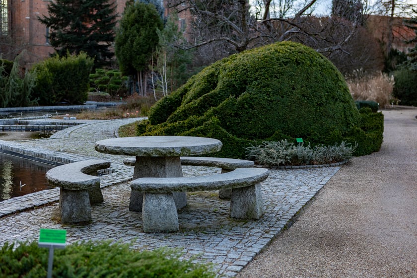 Ogród Botaniczny zimą