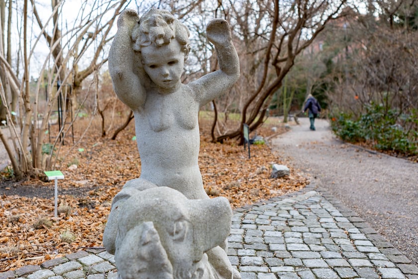 Ogród Botaniczny zimą