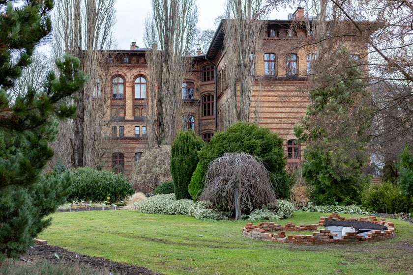 Ogród Botaniczny zimą