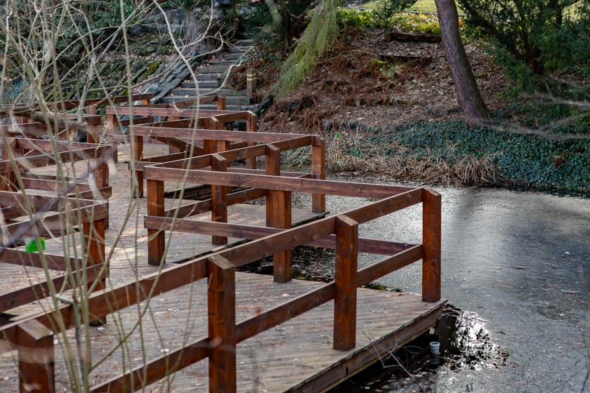 Ogród Botaniczny zimą
