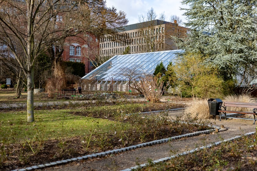 Ogród Botaniczny zimą