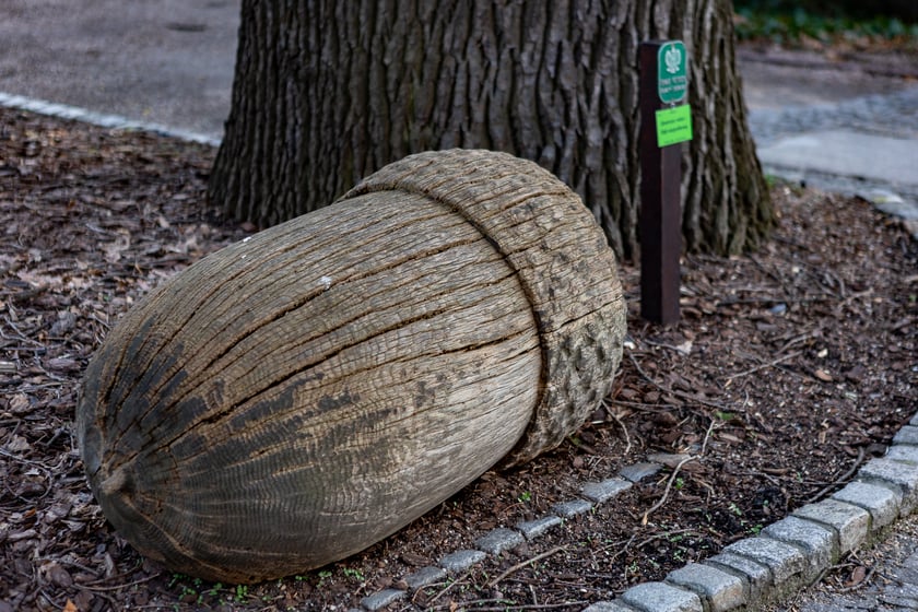 Ogród Botaniczny zimą