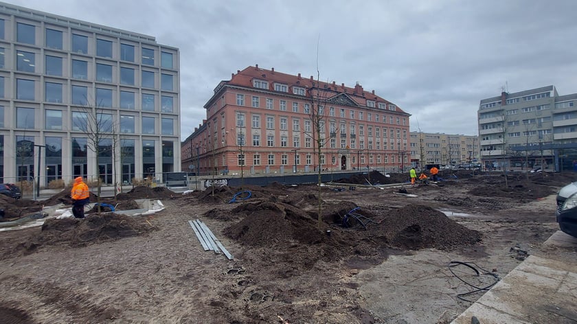Zielona rewolucja na placu Nowy Targ trwa w najlepsze