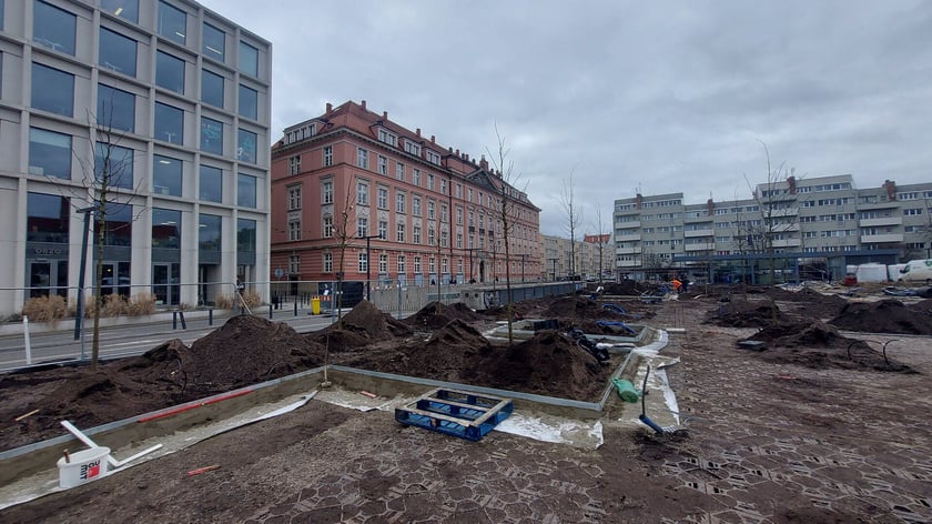 Zielona rewolucja na placu Nowy Targ trwa w najlepsze