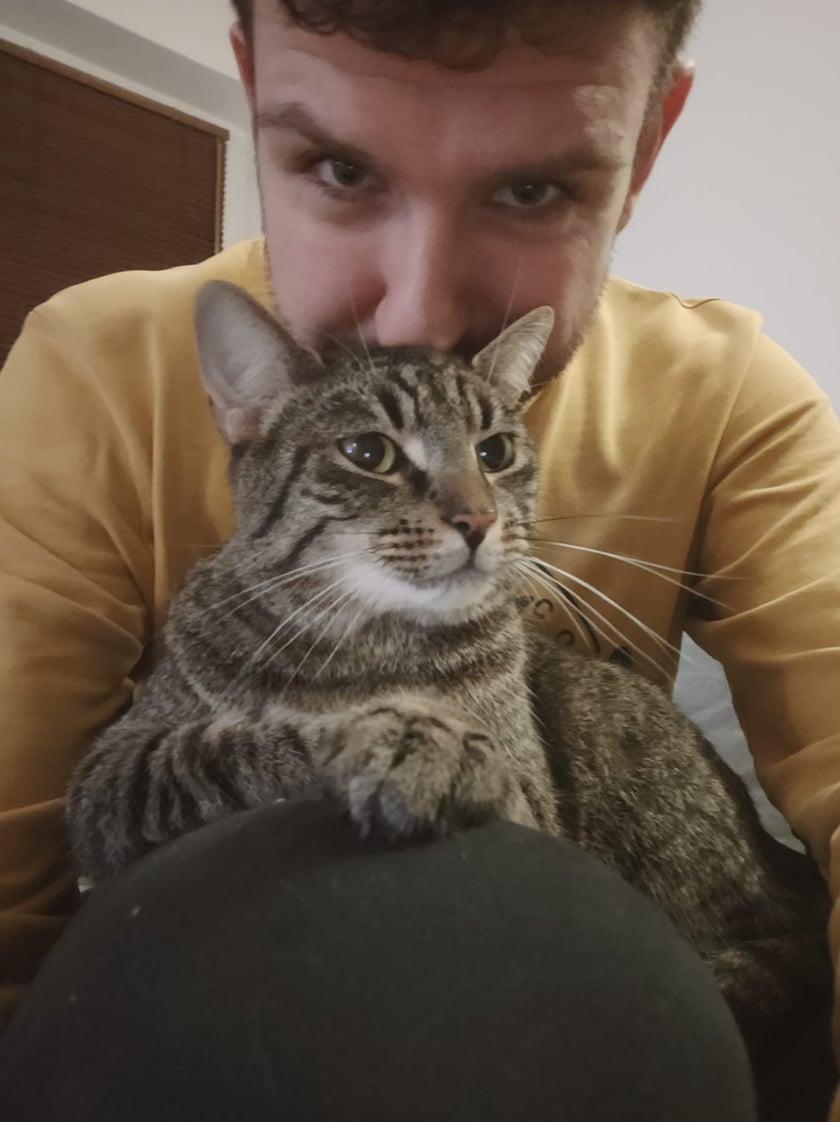 Koty czytelników / internautów www.wroclaw.pl