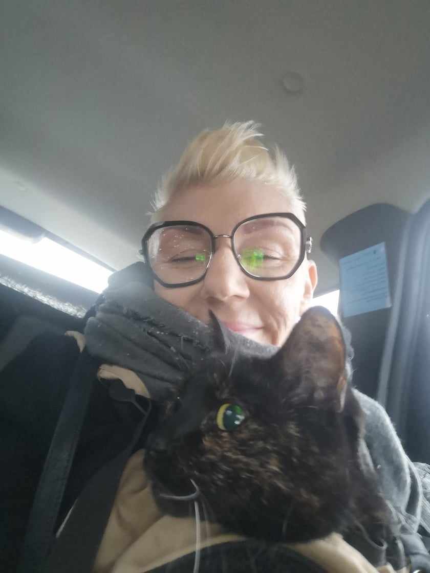 Koty czytelników / internautów www.wroclaw.pl