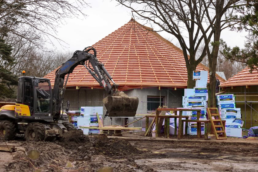 Budowa nowej Lwiarni w zoo Wrocław