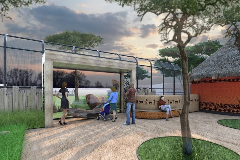 Wizualizacja nowej Lwiarni w zoo Wrocław. Przez szyby będzie można podziwiać lwy na wybiegu