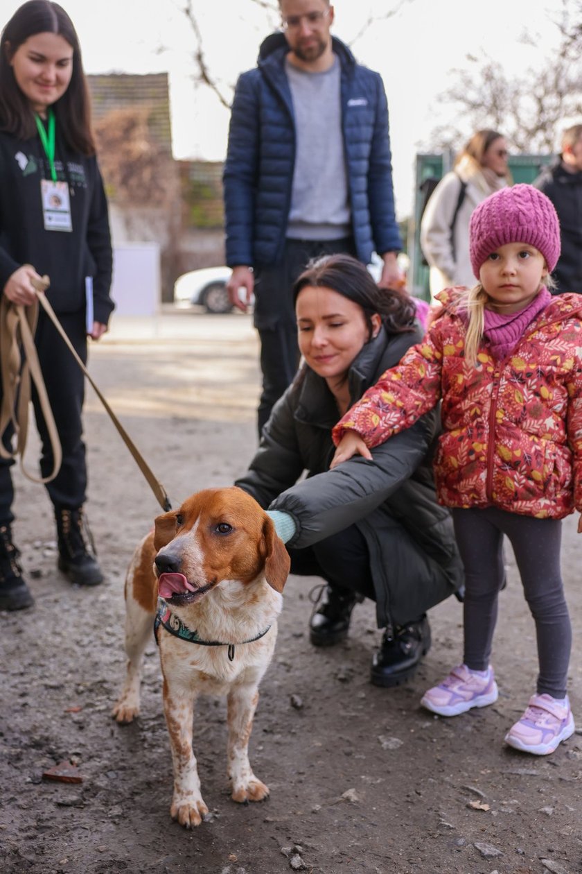 Można wziąć zwierzaka na spacer, jeśli poważnie myślisz o jego adopcji. Dzień otwarty w Ekostraży 25 lutego