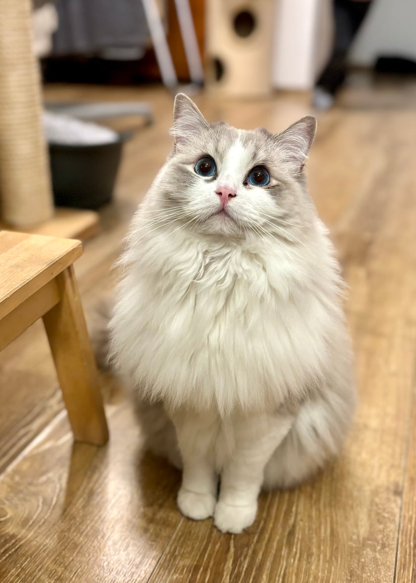 Kiedy w mojej misce pusto