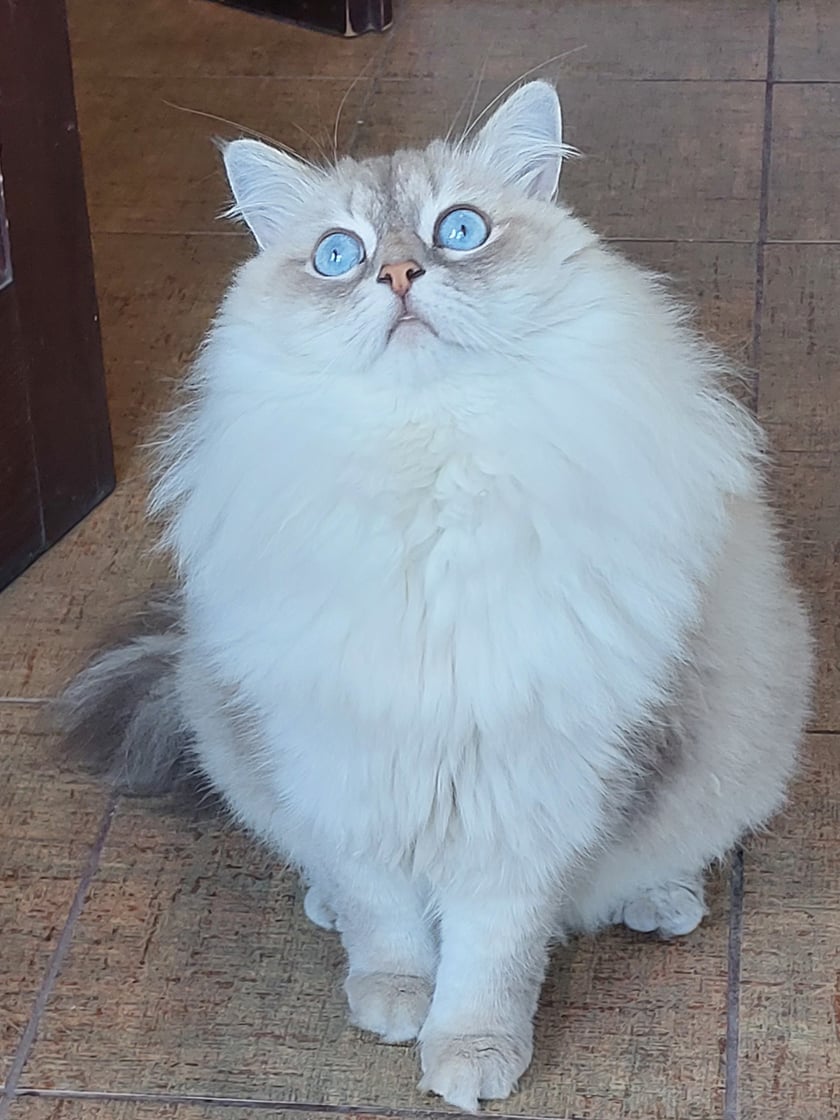 najmądrzejsza dziewuszka na całym świecie... moja katya:)