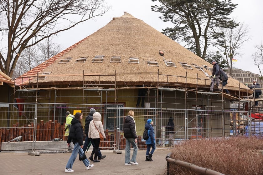 Jeden z budowanych właśnie pawilonów nowej Lwiarni w zoo